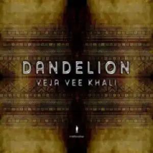 Veja Vee Khali - Lonwabo